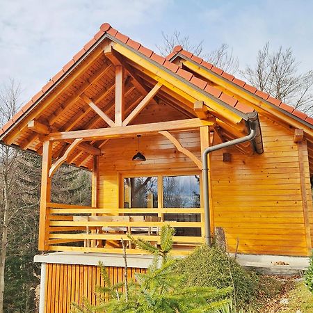 Ica - Hisica V Hribih Villa Kamnik Exteriör bild