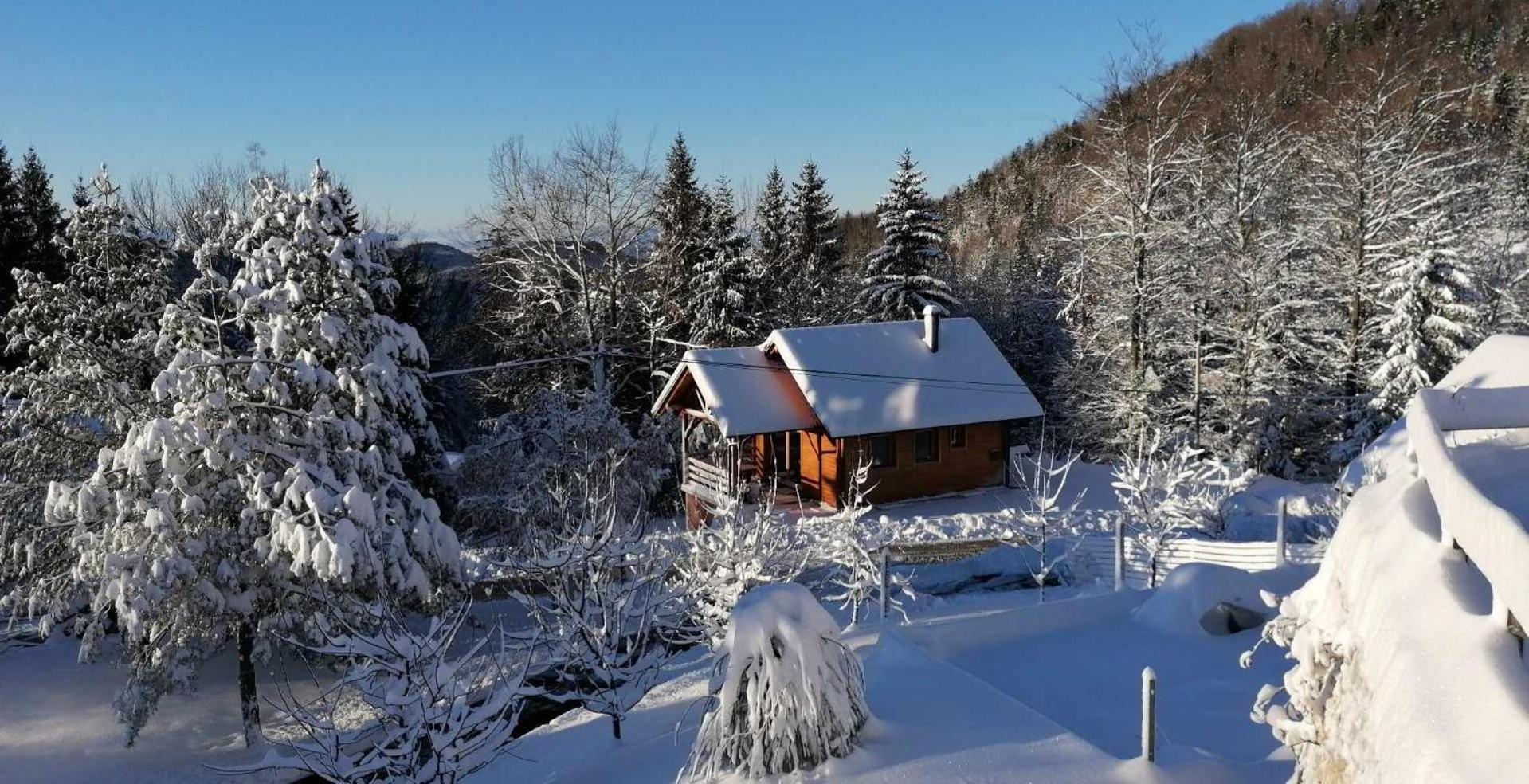 Ica - Hisica V Hribih Villa Kamnik Exteriör bild