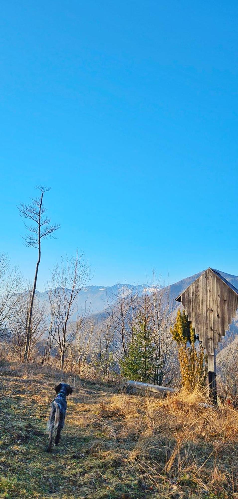 Ica - Hisica V Hribih Villa Kamnik Exteriör bild