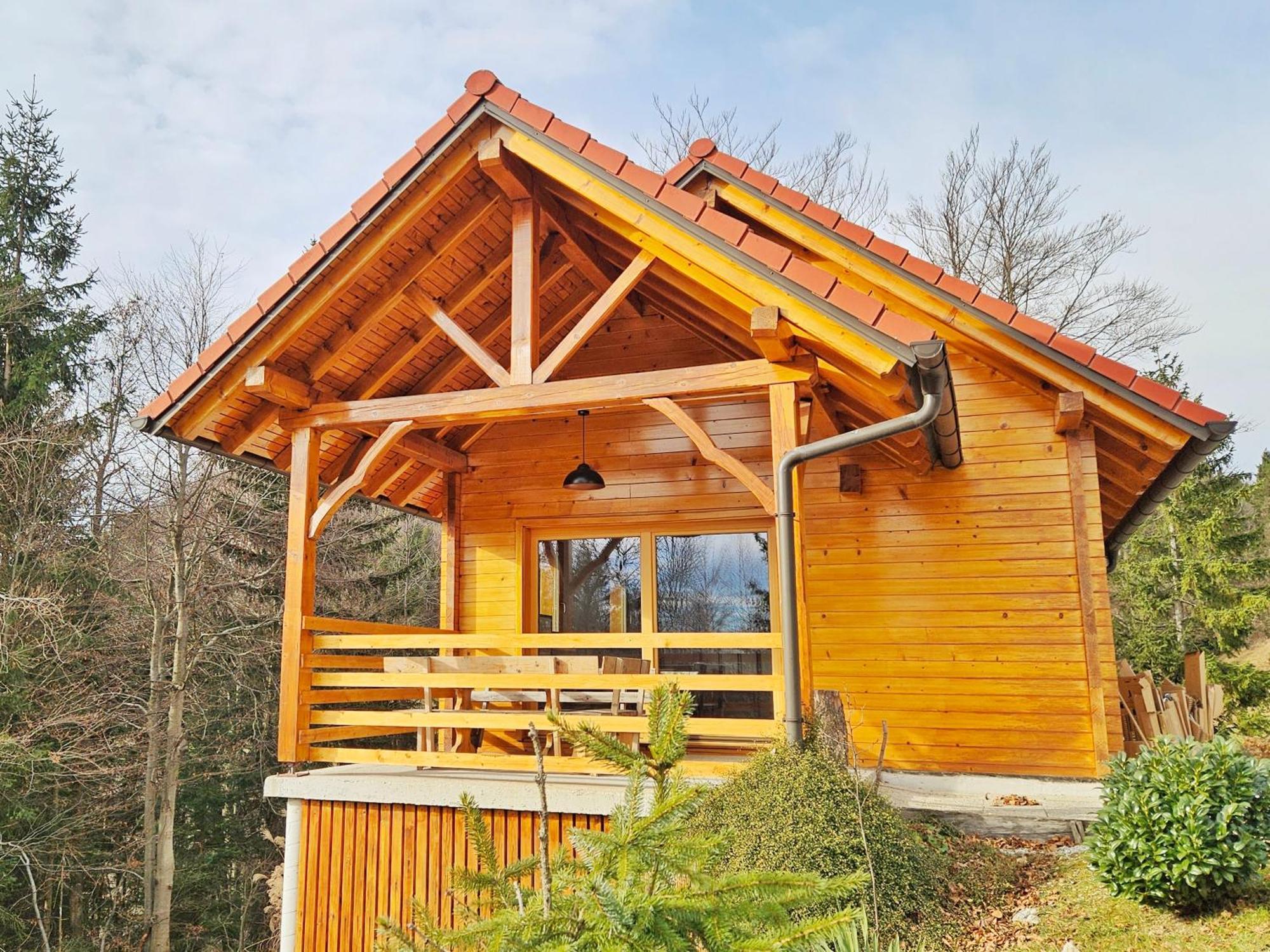 Ica - Hisica V Hribih Villa Kamnik Exteriör bild